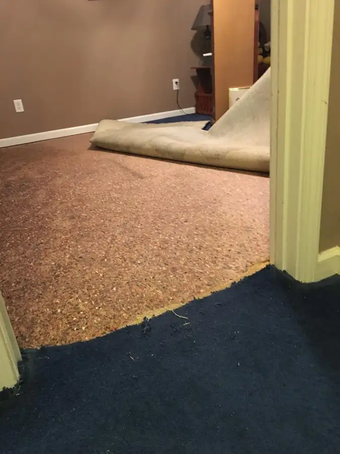 Carpet pad removal revealing water damage during Drying & Dehumidification in Pinewood
