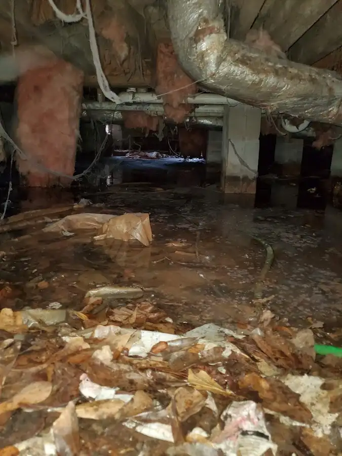 Crawl space flood assessment for Leak Detection & Repair in Pinewood