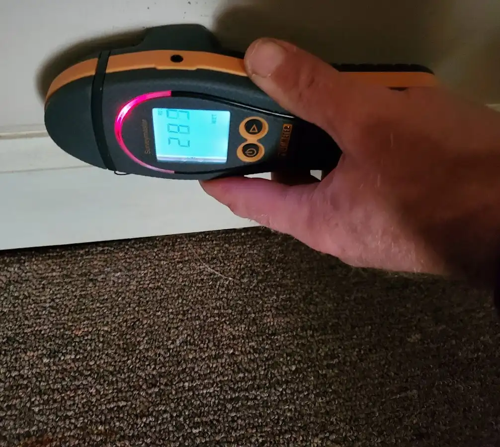Moisture detection at baseboard during Burst Pipe Cleanup in Pinewood